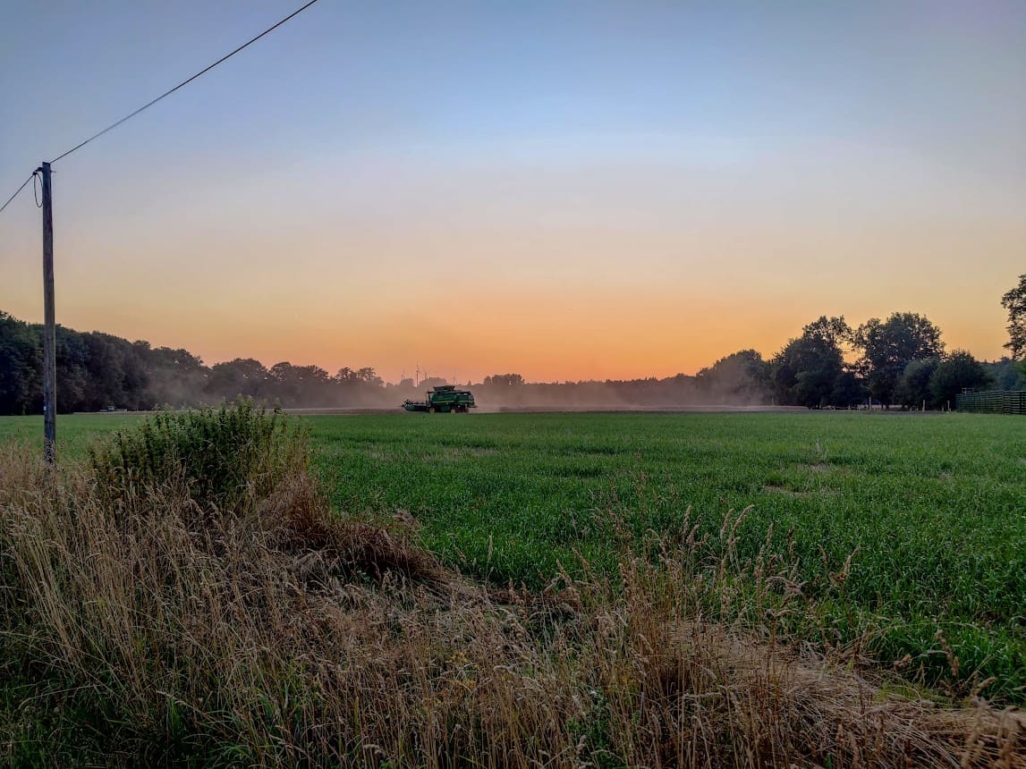 Foto di Galndorf.jpg